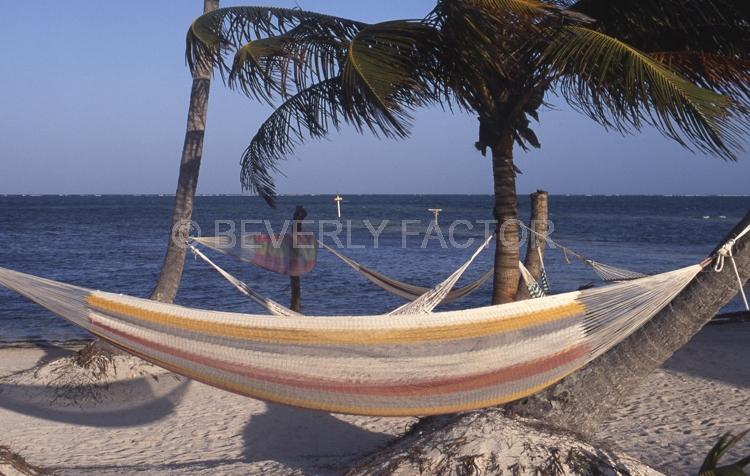 Islands;Hammock;Belize;blue water;palm trees;trees;ocean